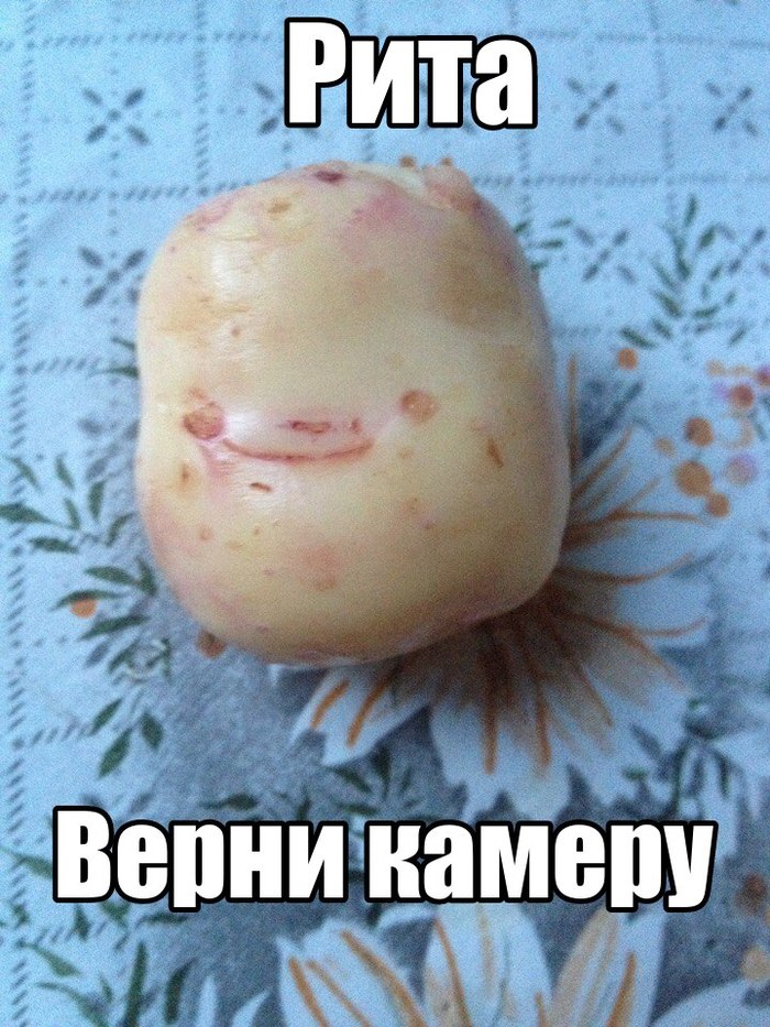 ������� ������� � ����� ��� ����