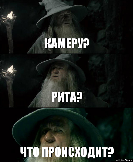 You miss a day and then... - My, Camera, Margarita, Gandalf, Memes, 