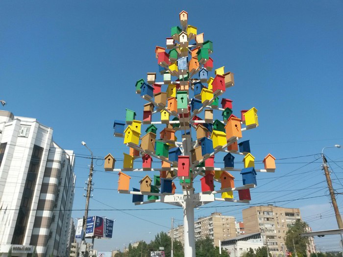 Bird hostel. - Birdhouse, Birds, Engels city, Russia, Saratov region