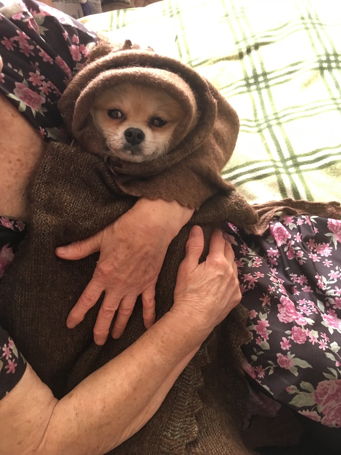 ����� ������� ������ ����� ���������