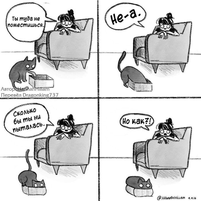 Cats are liquid - My, Comics, , Hannahhillam, cat