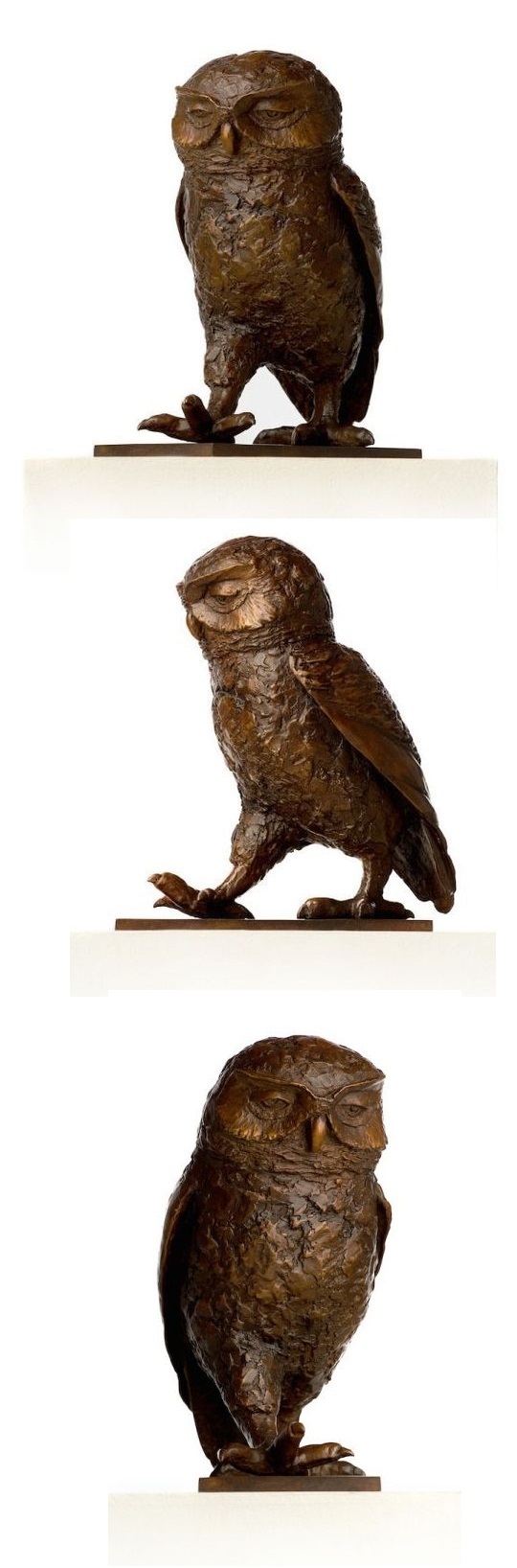 ����� �������, ��� ������ ���� ������������