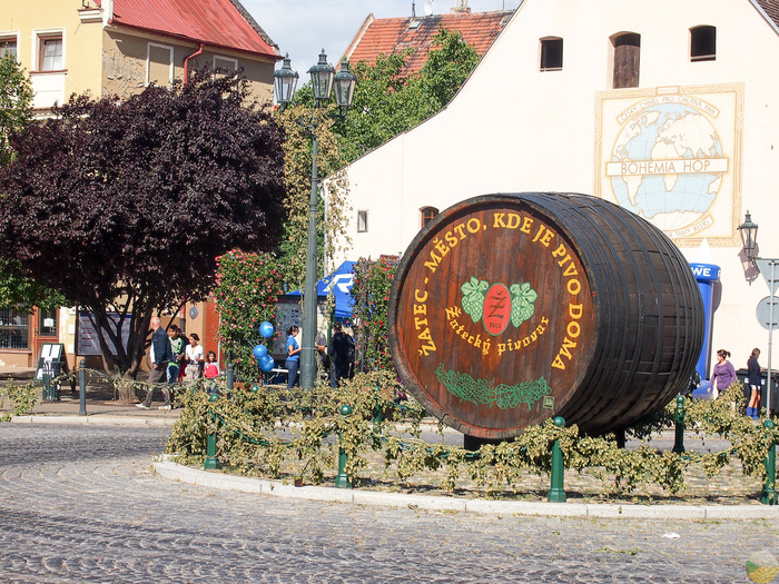 How is a typical Czech beer festival - the city of Zatec - My, Beer, beer festival, Czech, ЕЅatec goose, Street food, Longpost