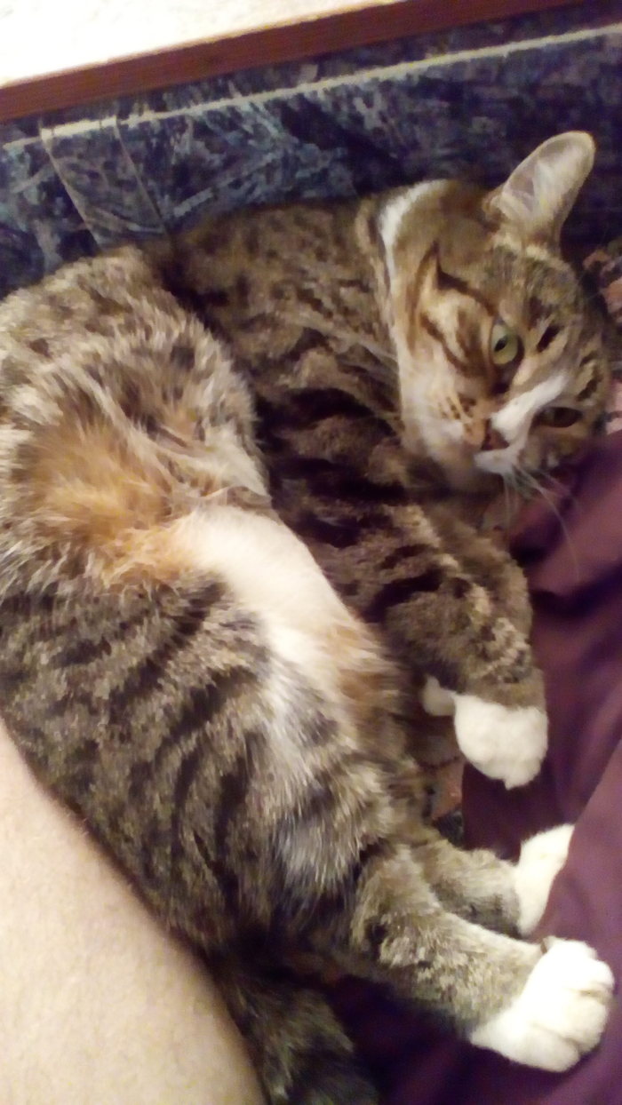 ����� ���������� � ��������� �����