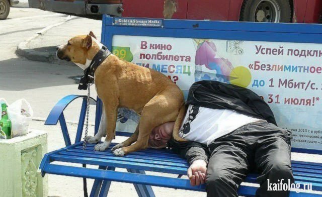 Well, master ... let's have a rest - and let's go for a walk again! - Drunk, Dog, Bench, Relaxation