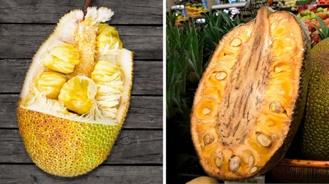 strange exotic fruit - Nature, beauty of nature, Фрукты, , Unusual, Longpost