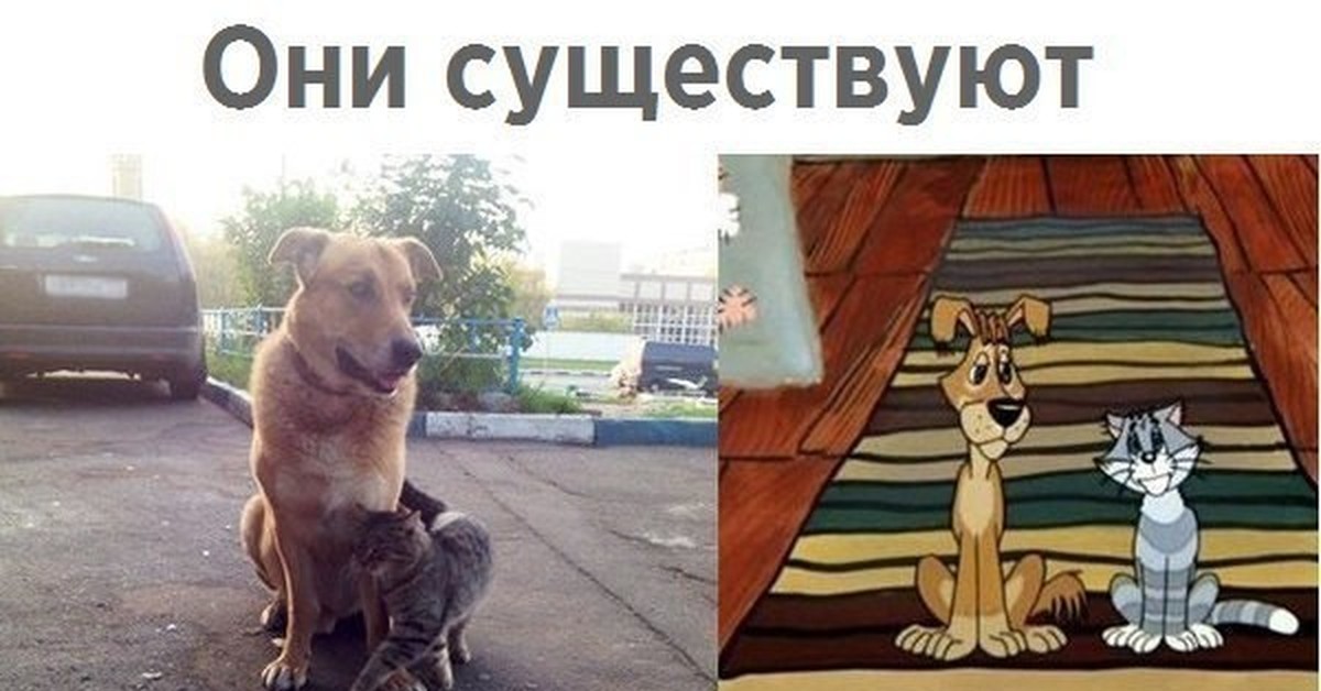 Покажи точную. Приколы разные. Приколы разные ржачные до слёз в картинках. Картинки с надписями до слёз. Приколы разные из жизни.