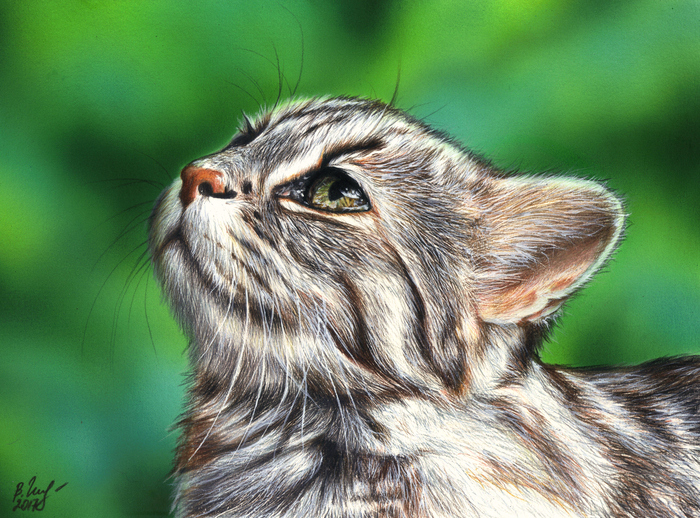  " " Realistic, ,  , , , , ,  