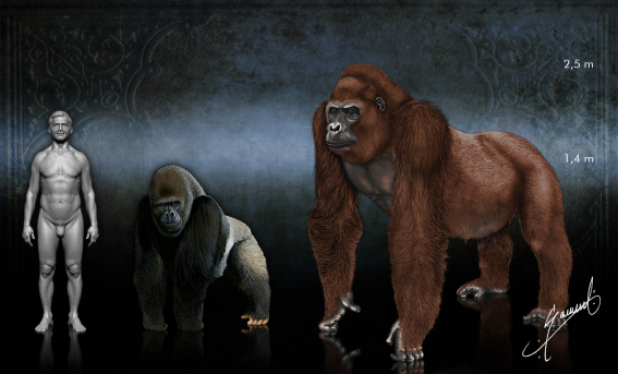 Bigfoot of prehistoric asia. - Yeti, Giants, Primates, Asia, Longpost