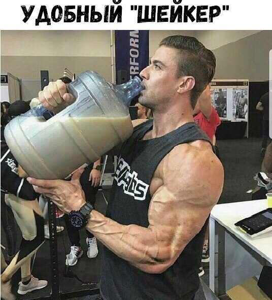 Convenient shaker - Body-building, Sports nutrition, In contact with, Gainer, Shaker, Protein Shake