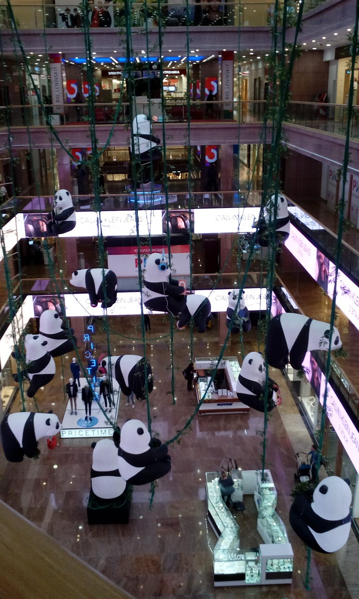 Cute pandas in the mall. - Milota, Panda, My, Unusual