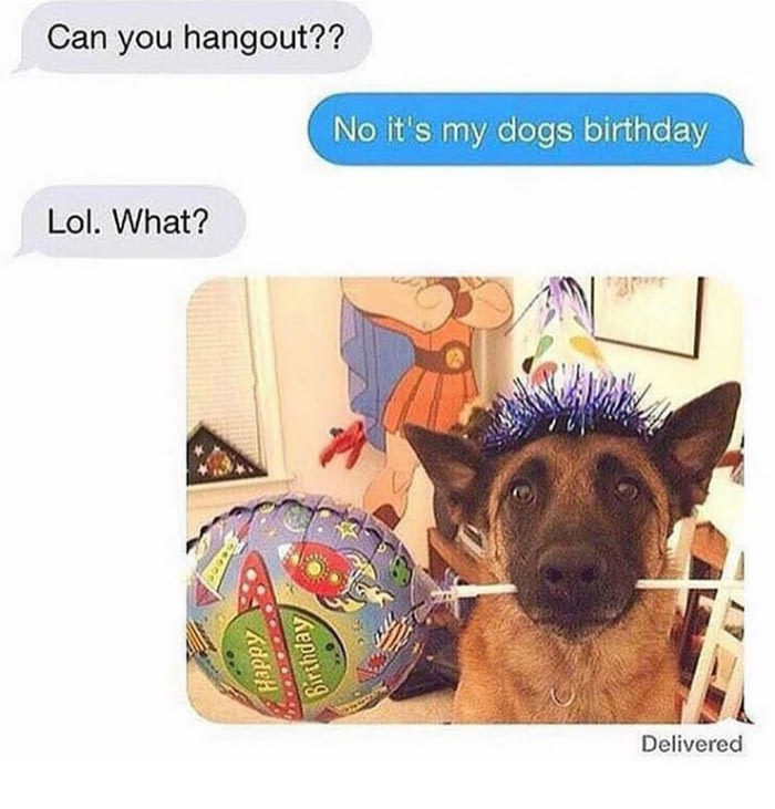 No, it won't work - Dog, 9GAG, Birthday