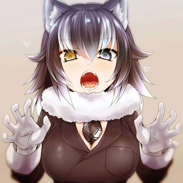 Anime Art - Anime, Anime art, Kemono friends, Grey Wolf