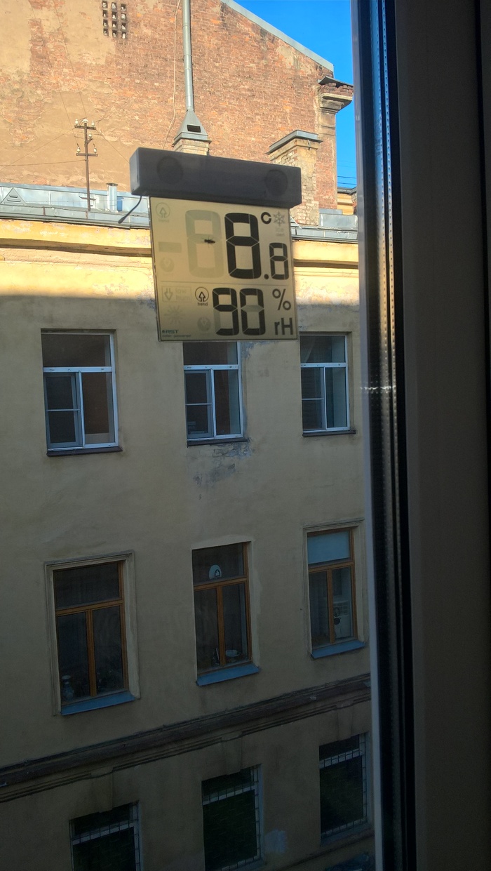 I woke up, looked at the thermometer and ah*l. - Summer, Saint Petersburg, Longpost, Cockroaches