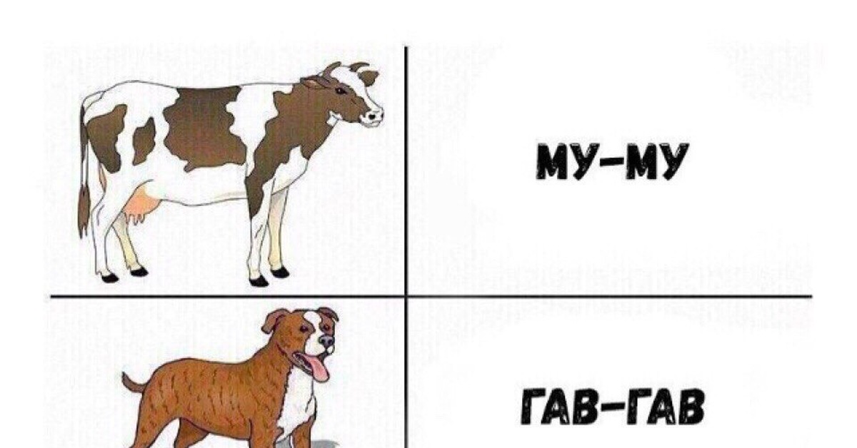 Гав по английски. Кто как говорит домашние животные. Кто как говорит. Кто как говорит картинки. Как разговаривают животные картинки.