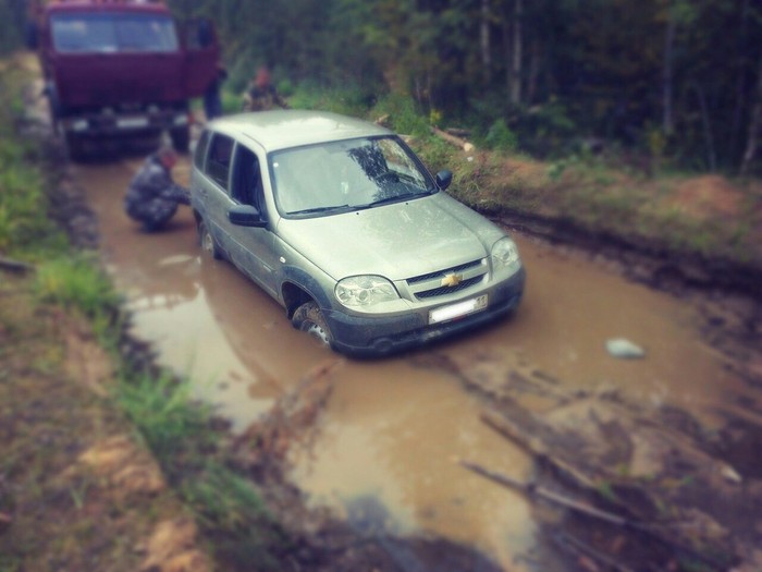 Eyes are afraid of the cornfield rides)) - Russian roads, SUV, Russia