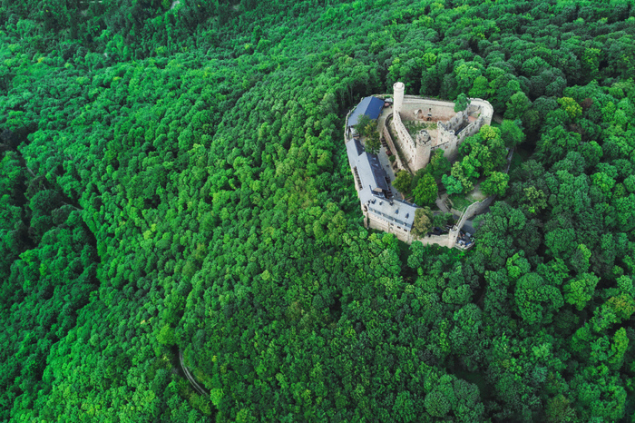 Замок на горе - Моё, Auerbacher Schloss, Фотография, Замок, Путешествия