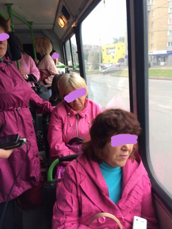 50 shades of pink - Pink, Kirov, Bus, Public