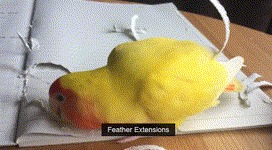     ,  , , 