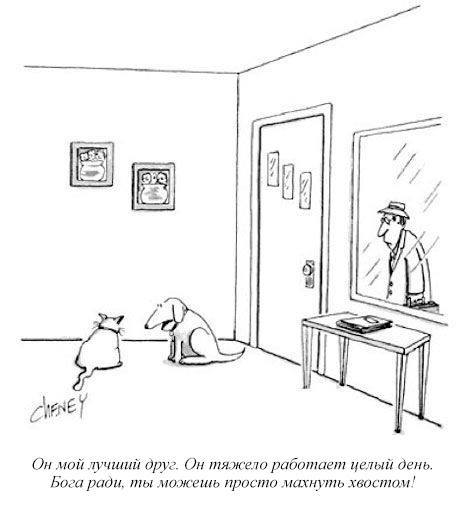 Have a conscience, cat - Comics, cat, Dog, Cats and dogs together, New Yorker Magazine, The new yorker