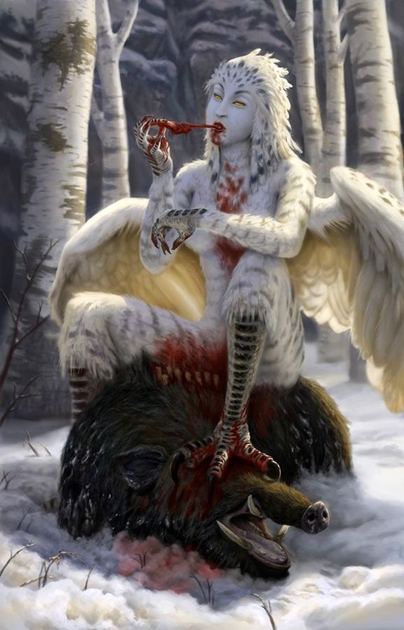 Snow harpy - Арт, Картинки, Мифические существа, Гарпия