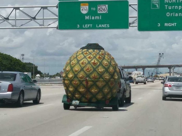 Serious shit is coming since SpongeBob is leaving - A pineapple, Car, Shipping, SpongeBob