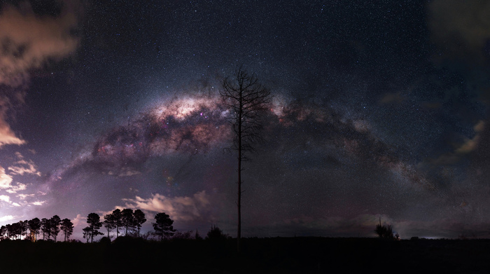 arch of the milky way - The photo, Astrophoto, Milky Way, Sky, Stars, Australia, Landscape, Pine