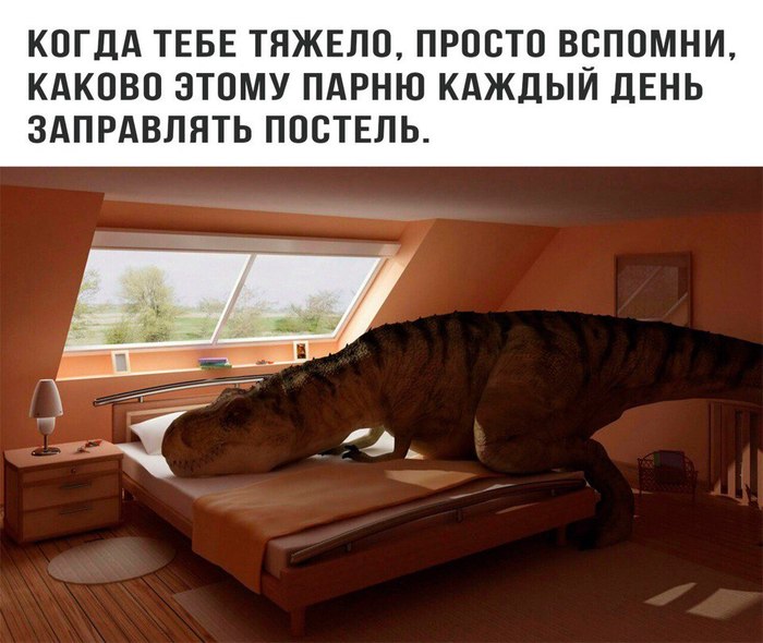 When it's hard. - Picture with text, Tyrannosaurus, Bed
