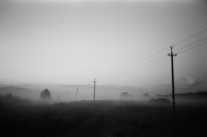 black and white summer - My, , Olympus, Film, Meadows, Black and white, Leningrad region, The photo, camera roll, Longpost