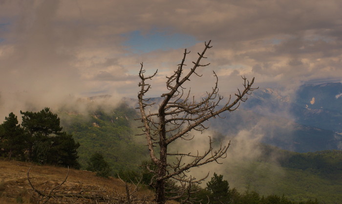 Ai-Petri - Crimea, My, The mountains