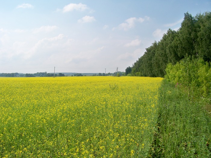 Старая Рязань - Моё, Городище Старая Рязань, Россия, Пейзаж, Длиннопост, Рязанская область, Природа