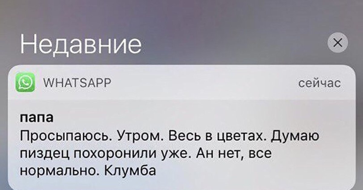 Самые смешные приколы картинки для ватсапа, свадьбу