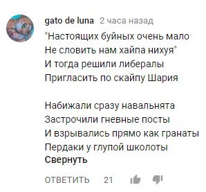 Это 5! Осторожно, нецензурная брань и язык троллей. - Шарий, Политика, Алексей Навальный, Школота, Стихи, Комментарии, Школьники