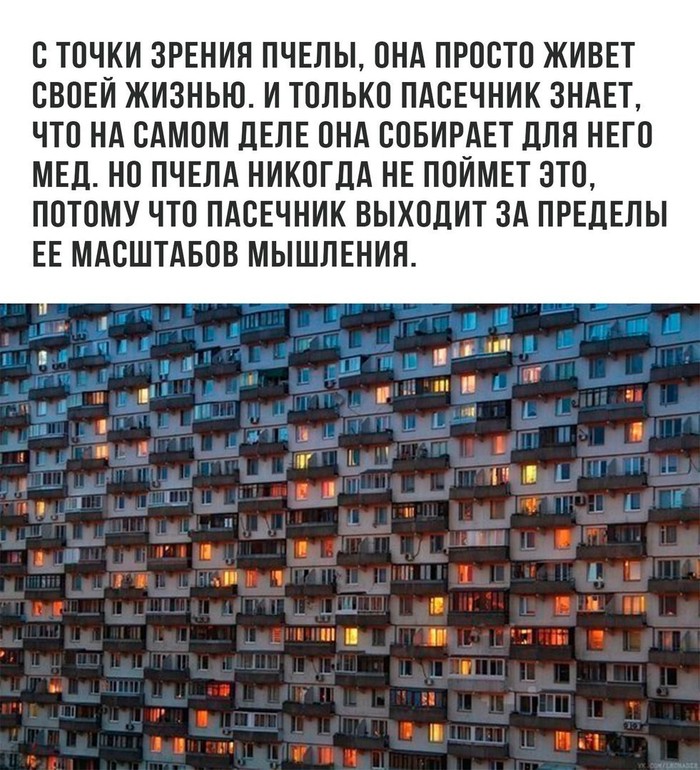 Если каждый будет работать на себя, то кто будет работать на нас? - Работа, Пчелы, Баян, Повтор