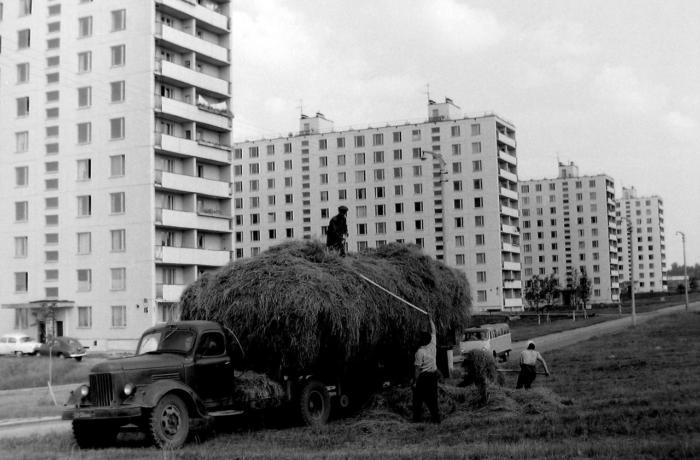 Остановись мгновение. Часть 75. - Фотография, История, Прошлое, Знаменитости, Остановись мгновение, Длиннопост