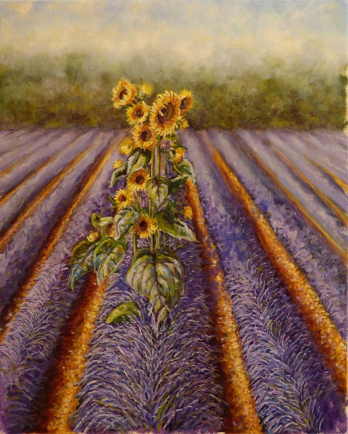 Sunflowers in lavender. - My, Oil painting, Painting, Lavender, Sunflower