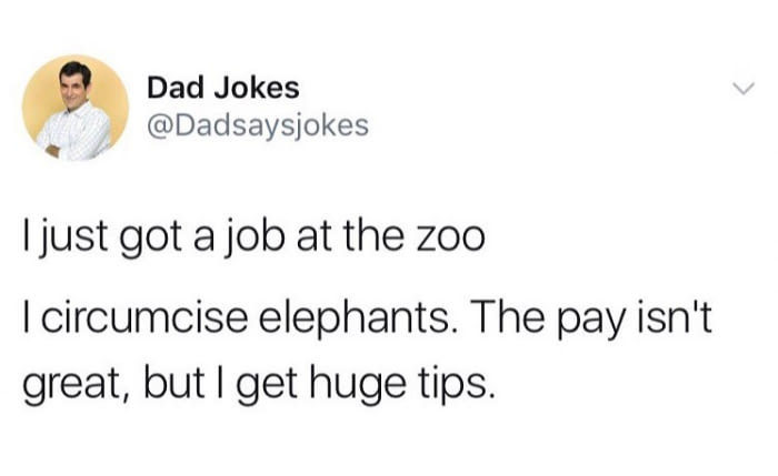 When a tip in the form of tusks is better than a salary - Twitter, Zoo, Elephants, 