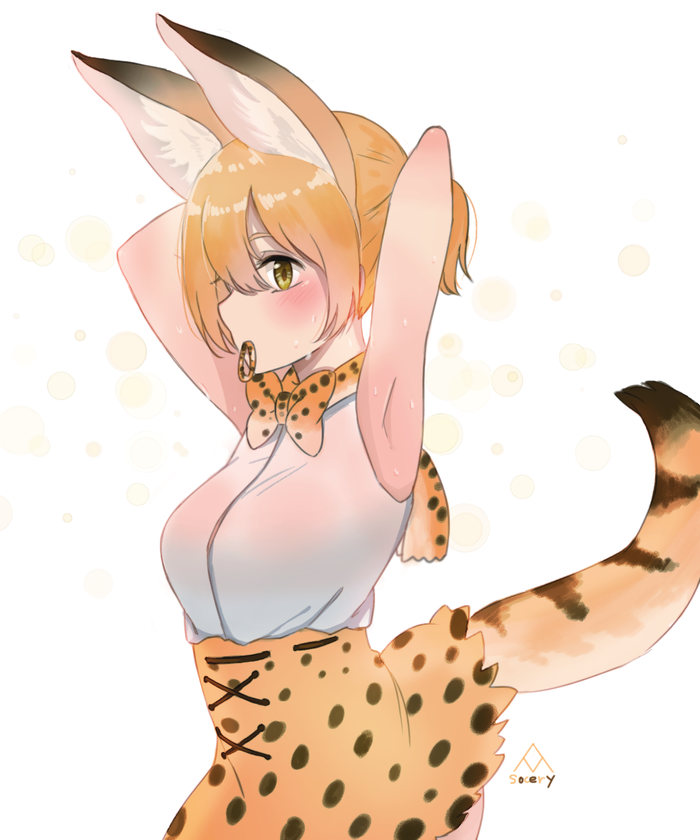 Serval , , Anime Art, Kemono Friends