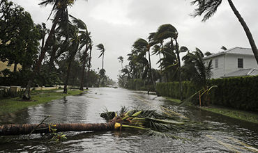 Estonia generous soul! - Irma, Estonia, Help, Generosity, Hurricane Irma