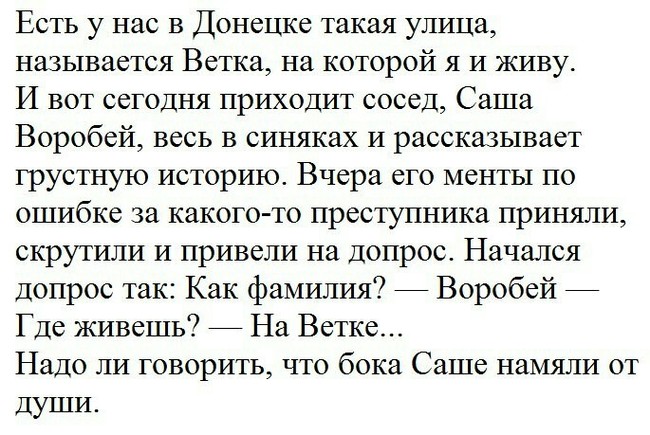 Воробей на ветке - Юмор, Истории из жизни