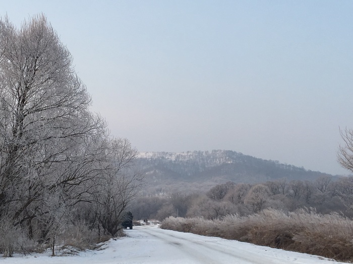 Nature. Primorsky Krai - My, Primorsky Krai, Vladivostok, iPhone 7, Nature