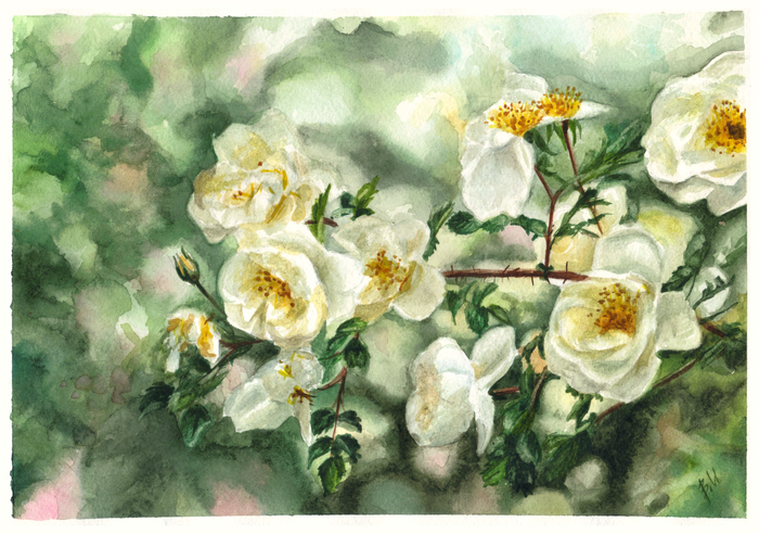   " " , , , , ,  , Paint, 