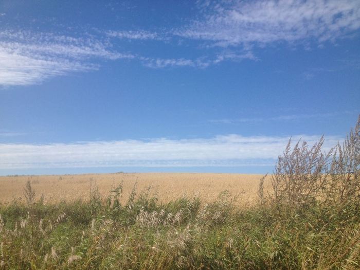 Пидтрымаю справжних украиньцев сим фото