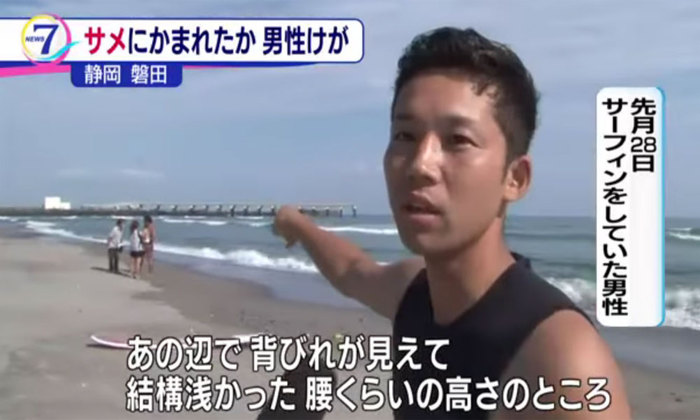 Shark bites surfer in Japan - , Japan, Danger, Surfing, Shark, Longpost
