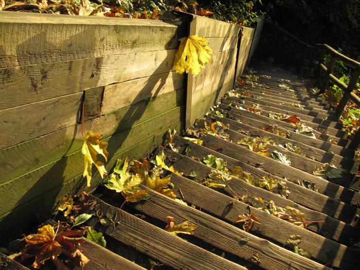 Лестница в зиму