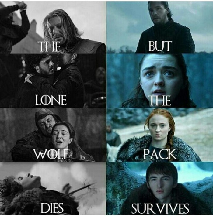 The lone wolf dies, but the pack lives on. - Game of Thrones, In contact with, Ned stark, Arya stark, Sansa Stark, Catelyn Stark, Bran Stark