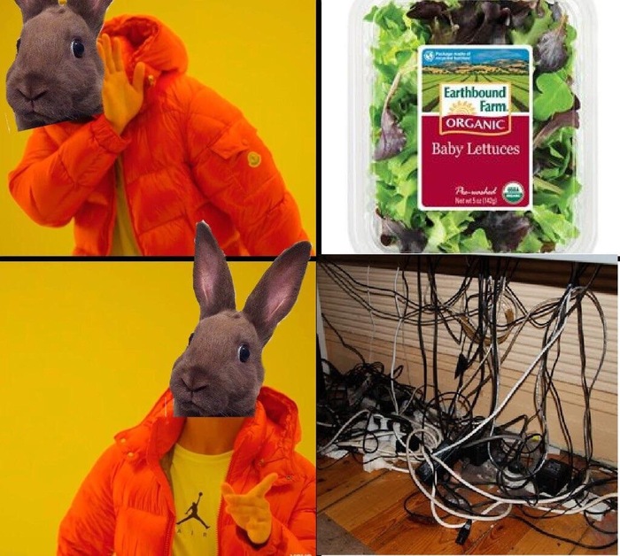 When the rabbit is at home - Memes, Rabbit