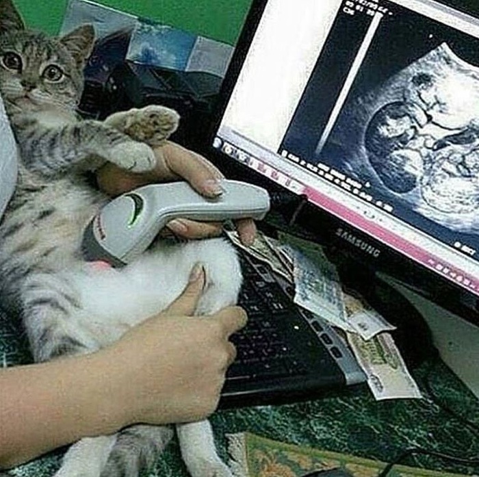 ����������! � ��� ������!