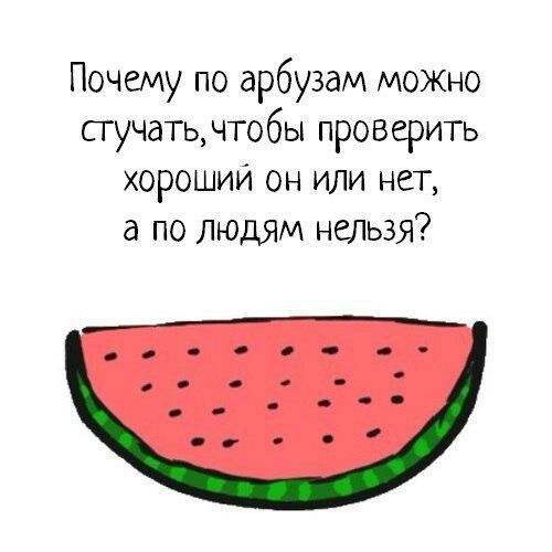 That's why??? - Watermelon, Why?, It is forbidden, Knock, People
