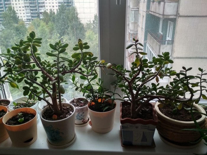 ����� �������� �������� � ��������